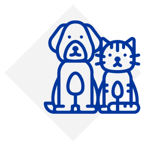 iberik-web-mascotas